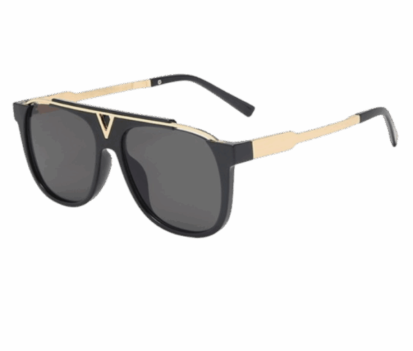 LV EVIDENCE SUNGLASSES